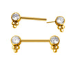 ASTM F136 Titanium Nipple Barbell–Hypoallergenic Piercing Jewelry for Women