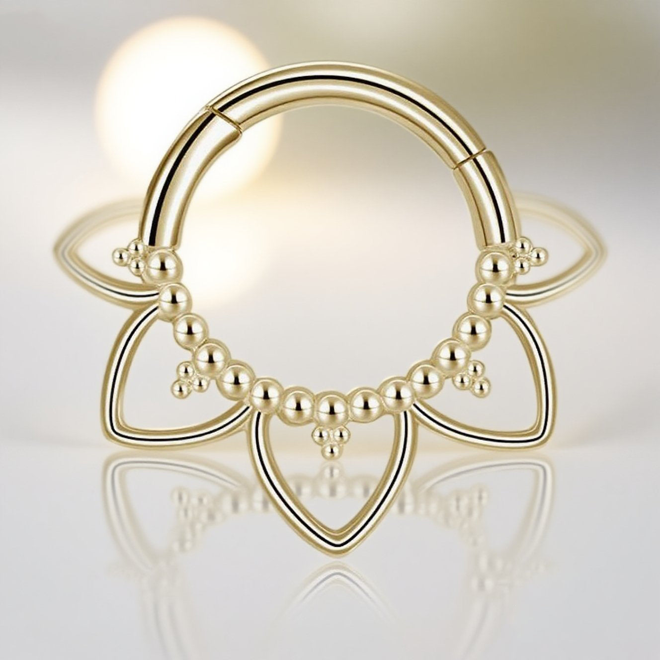 Newest 316L Surgical Steel 16G Hinged Segment Hoop – Fashion Body Piercing Ring