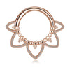 Newest 316L Surgical Steel 16G Hinged Segment Hoop – Fashion Body Piercing Ring