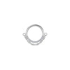 ASTM F136 Titanium Shape Dangle Nose Ring Hinged Septum Clicker Ring Earring Piercing