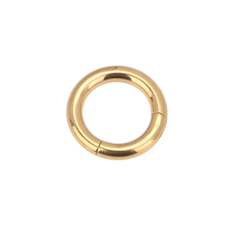 316L Surgical Steel Large Hoop Clicker Rings Segment Nose Rings Wholesale Piercing Jewelry