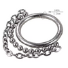 316L Stainless Steel Body Chain Hinged Clicker Segment Hoop Ring – Cartilage Earring & Body Piercing Jewelry