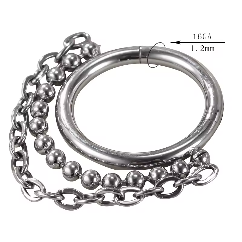 316L Stainless Steel Body Chain Hinged Clicker Segment Hoop Ring – Cartilage Earring & Body Piercing Jewelry