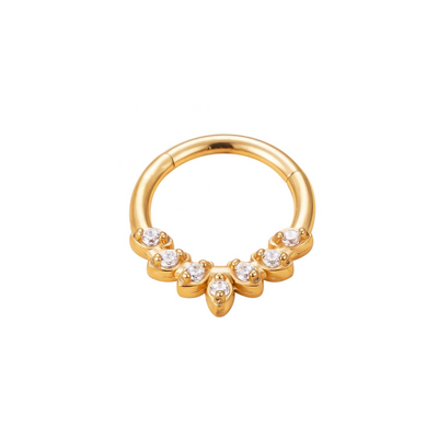 316L Stainless Steel Helix Earring – Oval Segment Ring with 5 CZ Blaze Set Stones