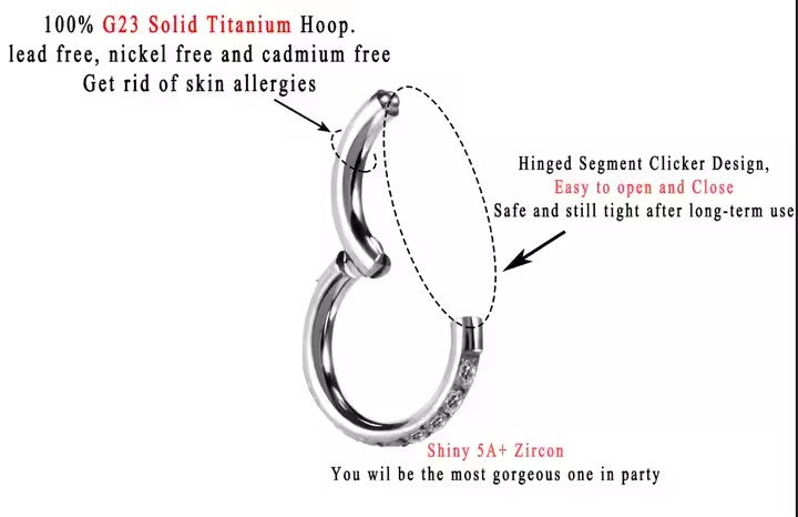 Titanium CZ Stone Hinged Clicker Hoop