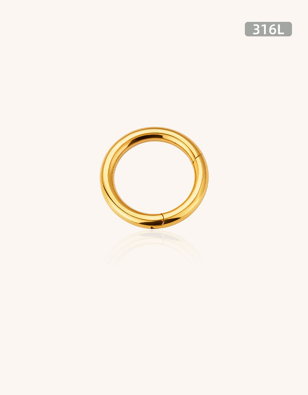 316L Surgical Steel Large Hoop Clicker Rings Segment Nose Rings Wholesale Piercing Jewelry